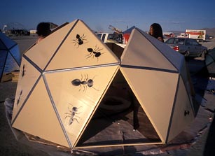 Monkey Dome